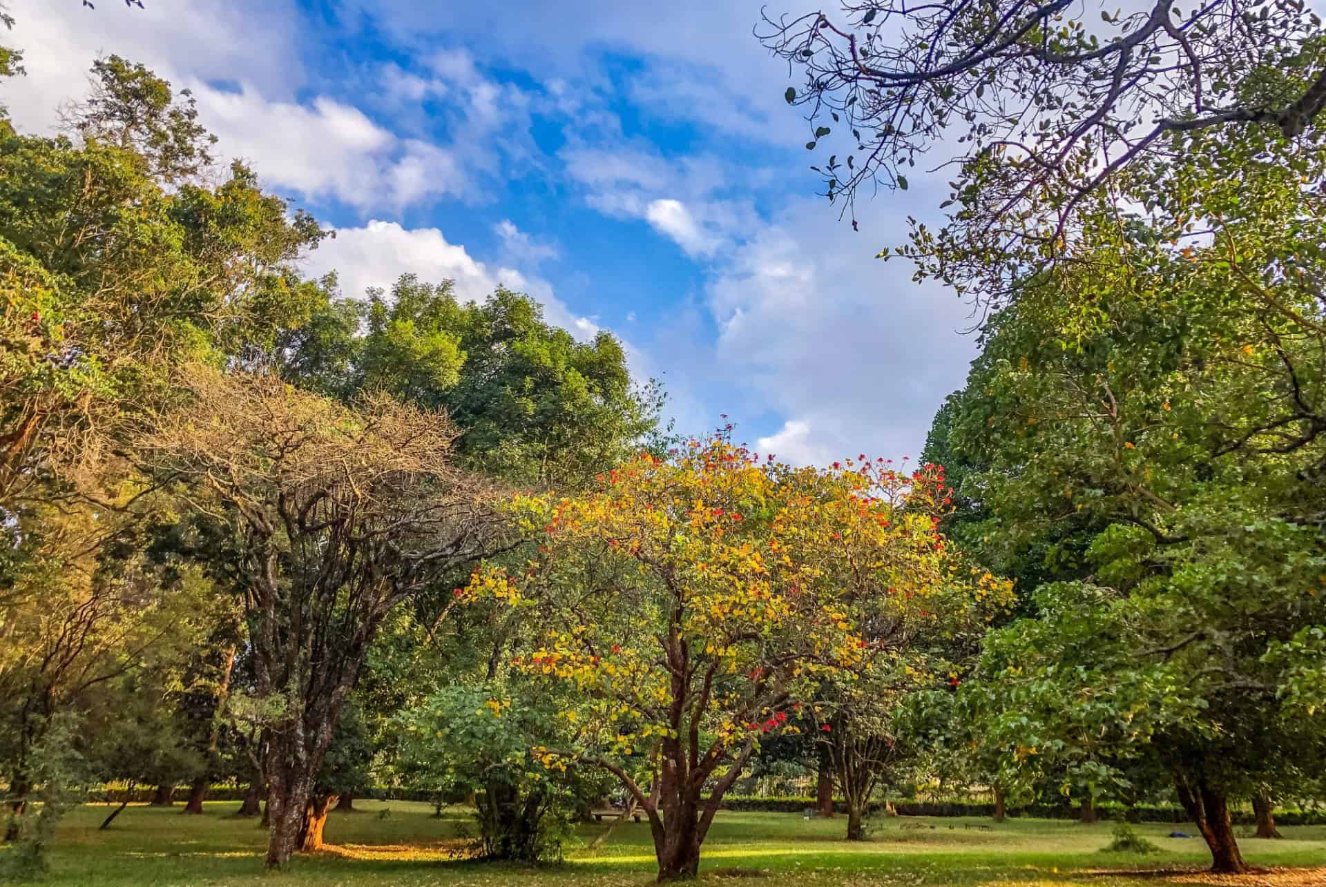 ou dormir a nairobi kilimani ou dormir a nairobi kilimani