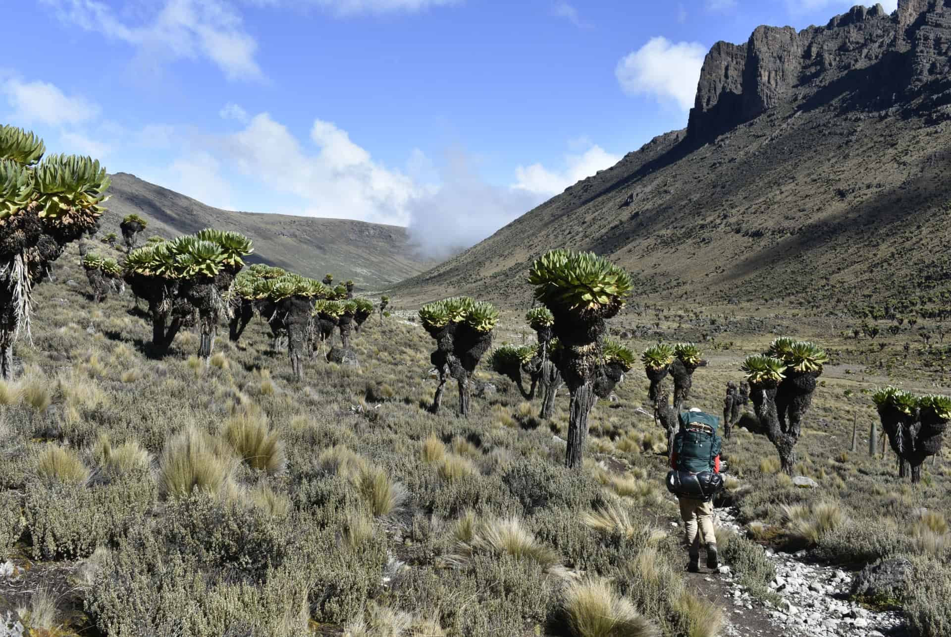 randonnee mont kenya