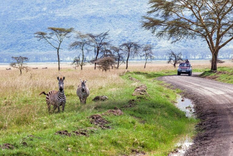 Safari d'une journée au lac Nakuru et Naivasha depuis Nairobi