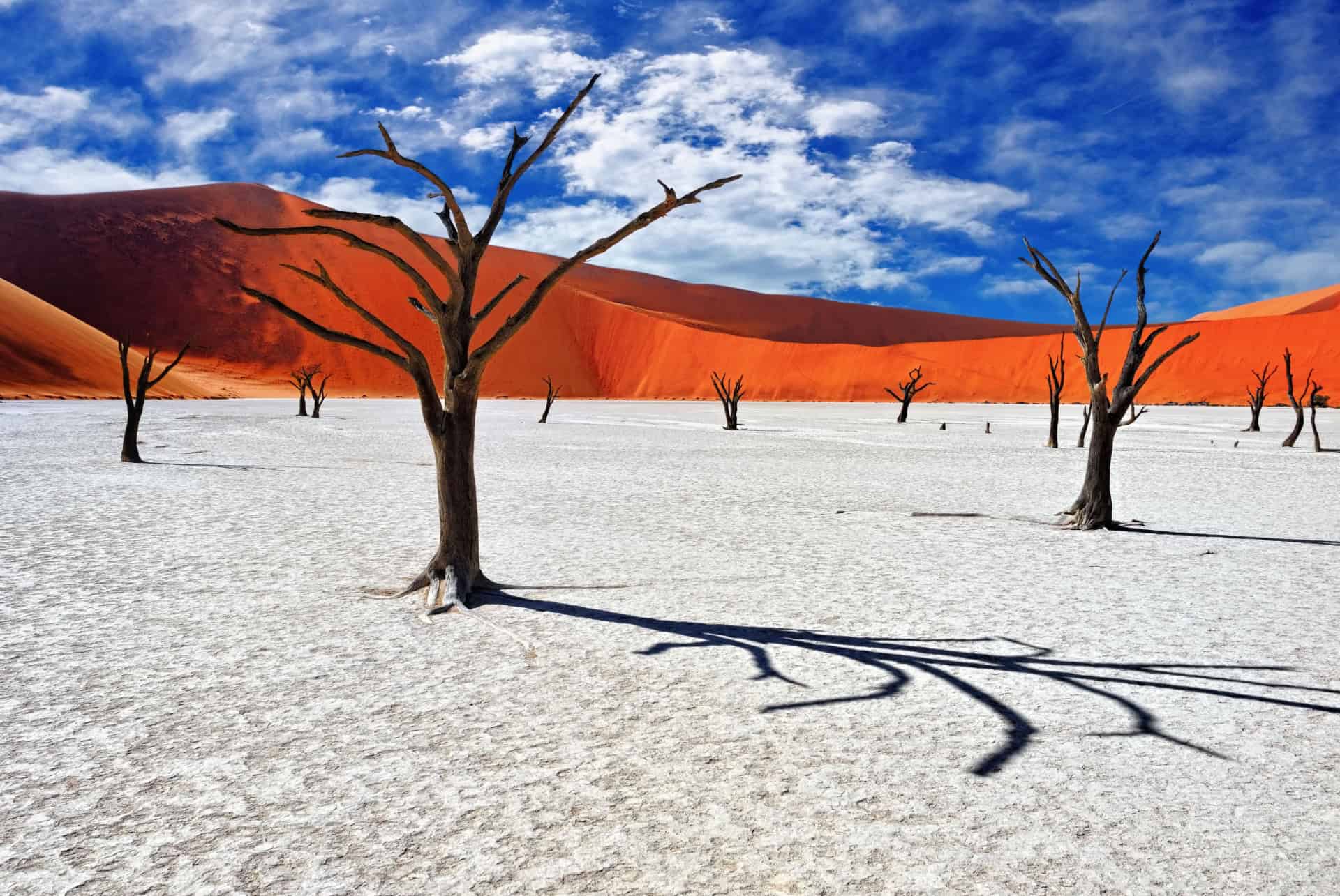 sossusvlei namibie
