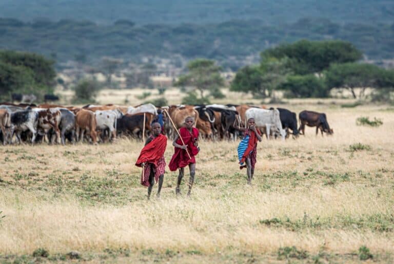 Visite d'un village masaï