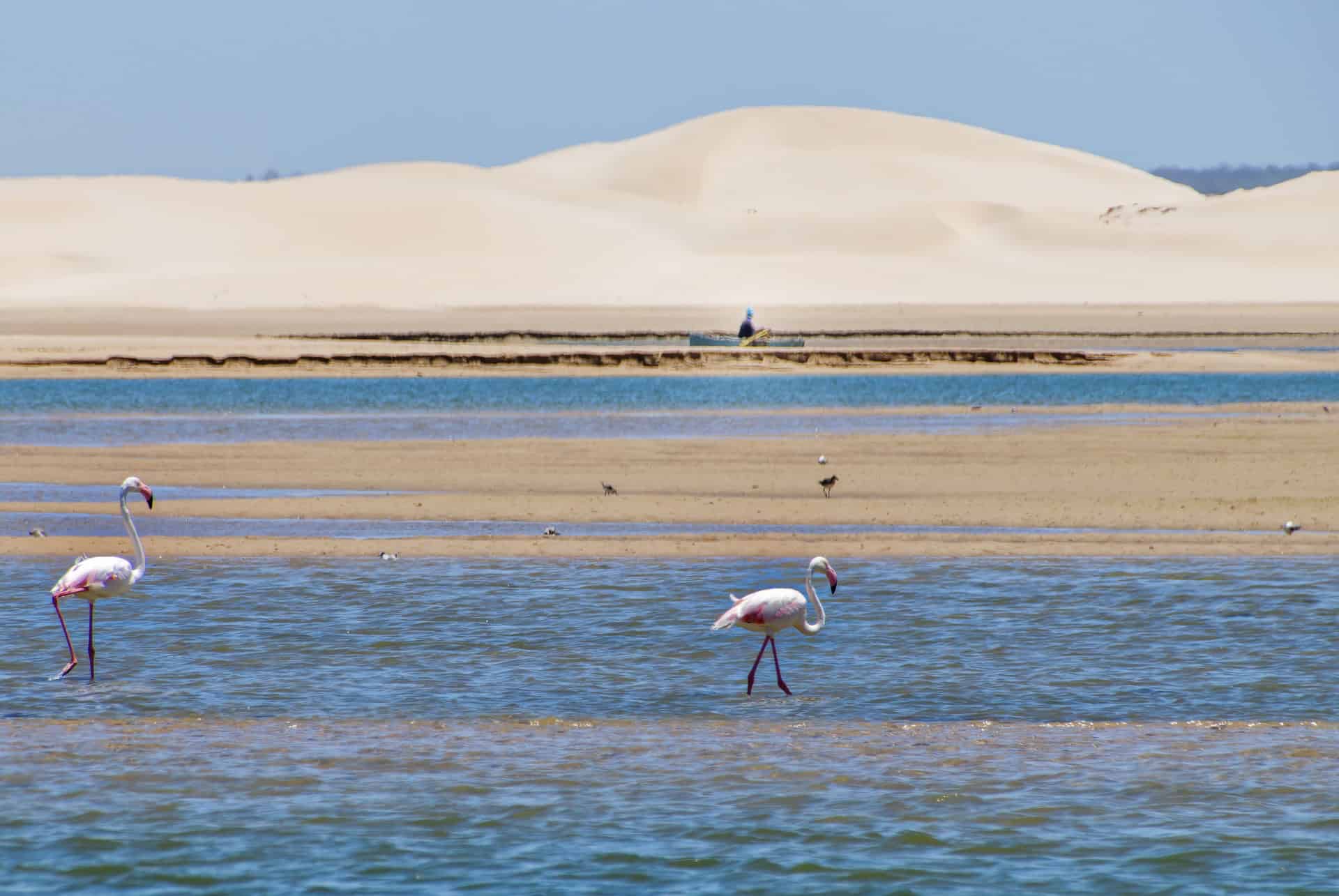 riviere sundays riviere sundays