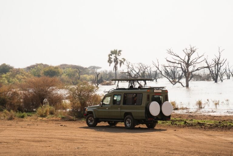 Safari d'une journée dans le parc national du lac Manyara