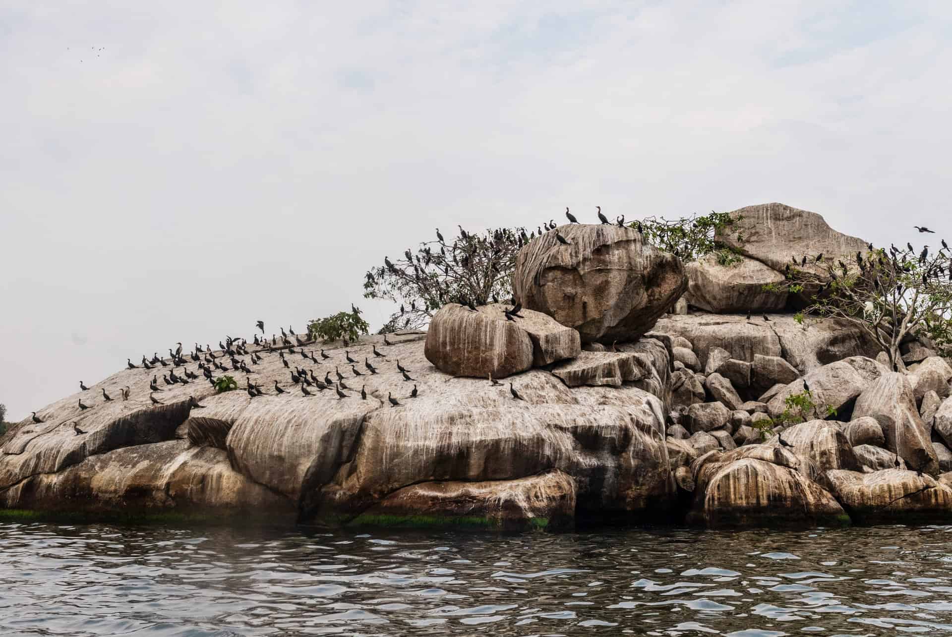 lac victoria que faire tanzanie