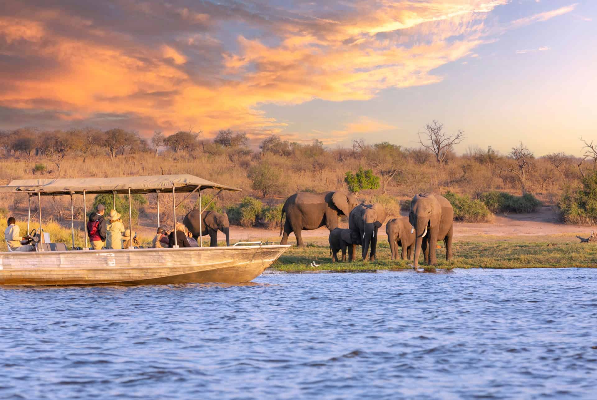 parc national chobe