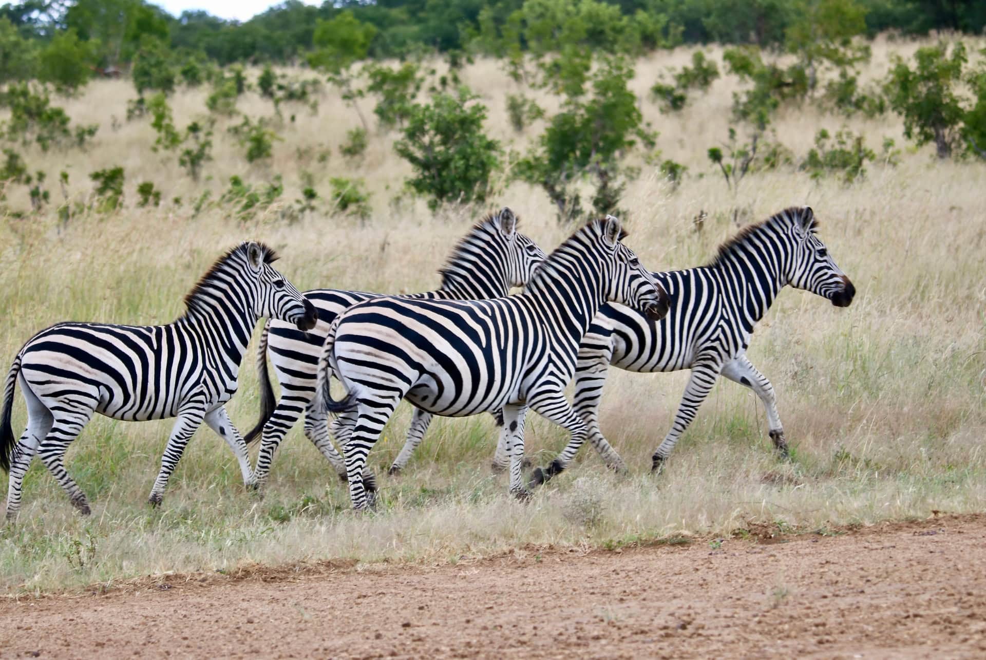 parc national hwange